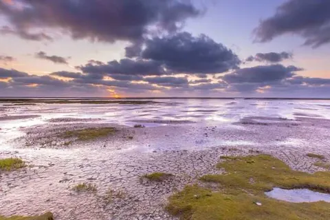 Hotel Waddengenot in Pieterburen — foto 33