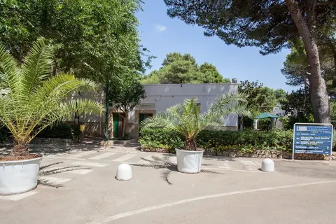 Camping La Vecchia Torre foto 10