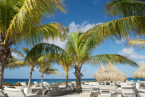 Morena Resort in Jan Thiel — foto 8