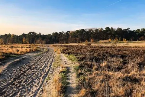 ibis Hotel Tilburg foto 16