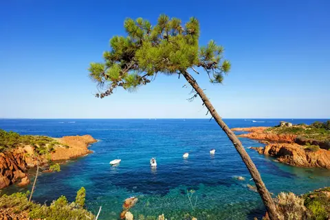 Residentie Les Calanques du Parc in Fréjus — foto 8