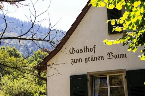 Landgasthof Grüner Baum foto 17