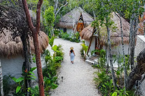 The Yellow Nest in Manuel Antonio Ay, foto 4