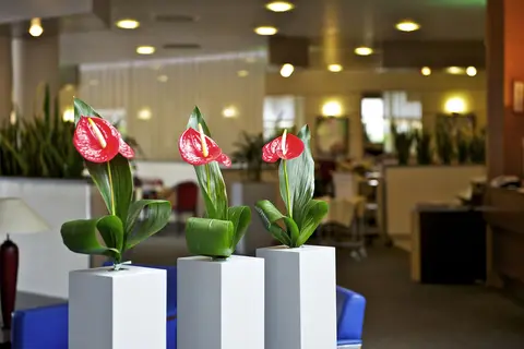 Novotel Caserta Sud in Caserta — foto 2