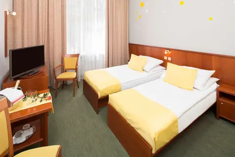 Hotel Atlantic in Praag — foto 19