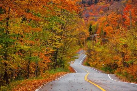 Colors of New England in Washington — foto 7
