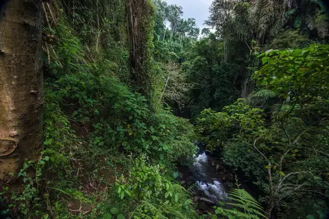 The Kayon Valley Resort in Ubud, Kecamatan Gianyar, Kabupaten Gianyar, Bali, Indonesia — foto 9