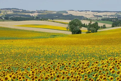 Camping Domaine Aramis foto 44