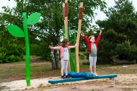 Recreatie-natuurpark Keiheuvel in Balen — foto 15