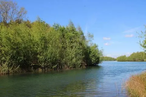 De Valkhoeve Mill foto 16