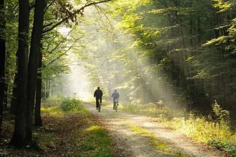 City Hotel Stadskanaal foto 18