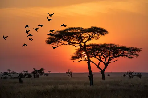 Ontdek Tanzania in Tanzania — foto 4