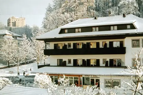 Hotel Bologna in Bruneck - Brunico