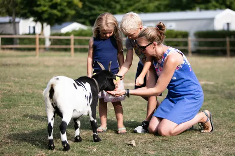 Camping Chateau De Lez-eaux foto 16