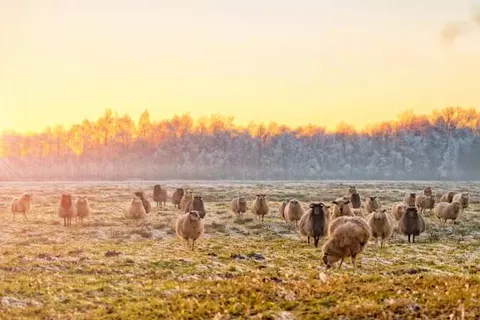 Hotel Noudus foto 11