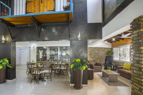Cactus in Larnaca — foto 8