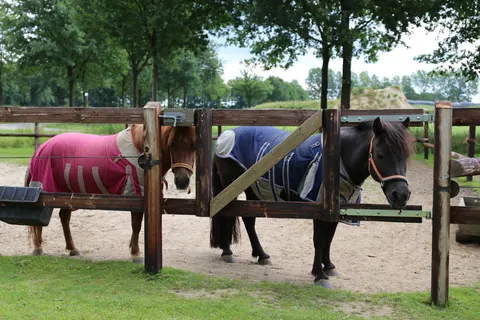 Camping De Meibeek foto 5