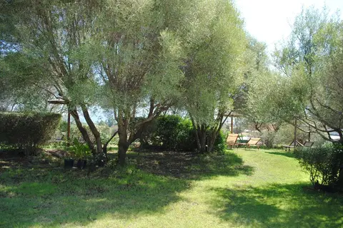 Sa Pedra Hotel in Terranoa/Olbia — foto 11