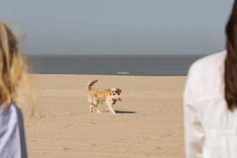 Boutique Hotel Azur foto 26