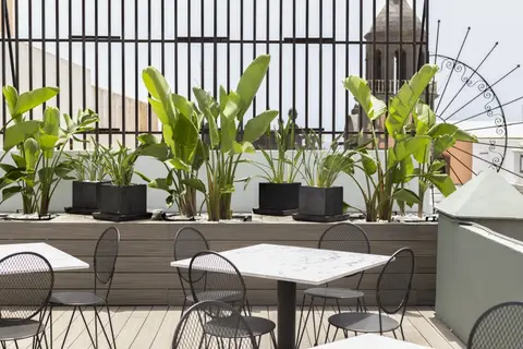 Suites 1478 in Las Palmas, foto 13