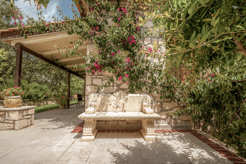 Agrikia Villa foto 6