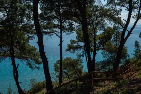 Elies 33 Bio Retreat in Δημοτική Ενότητα Κασσάνδρας — foto 14