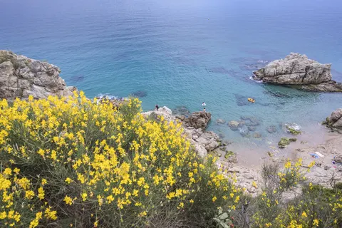 Camping Roca Grossa foto 3