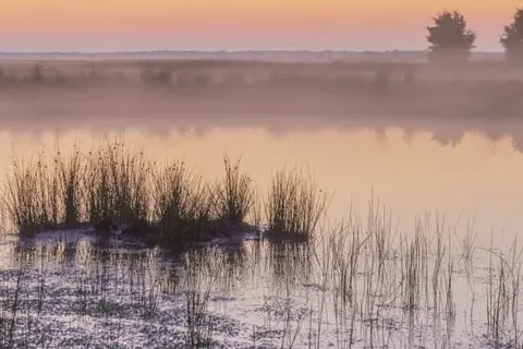 Hotel en Restaurant Wesseling foto 35