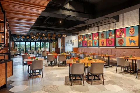 Hyatt Regency Creek in Dubai — foto 8