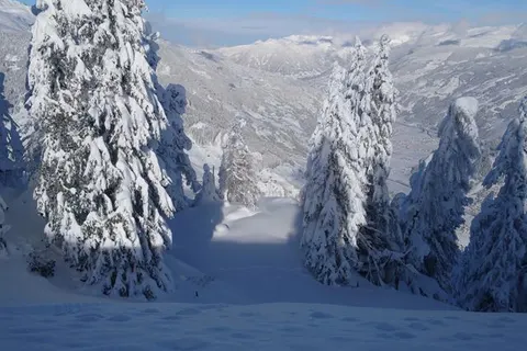 Hotel Garni Birkenhof foto 21