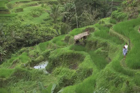 Ubud Village Hotel in Ubud, Kecamatan Gianyar, Kabupaten Gianyar, Bali, Indonesia — foto 5