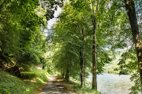 Camping Le Gibanel foto 16