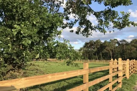 Bed and Breakfast In de Hei foto 11