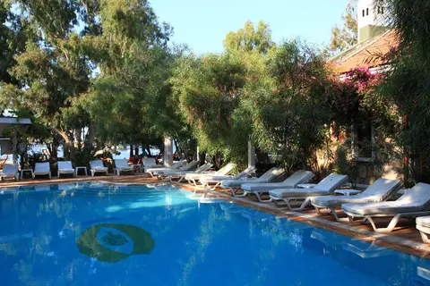 Okaliptus in Bodrum, foto 3