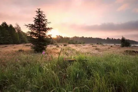 Bed and Breakfast De Beddestee foto 15