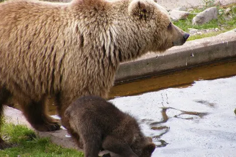 Zweden op het gemak foto 9