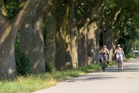 Villapark de Weerribben foto 19