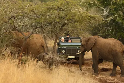 Wonderlik Suid-Afrika in Complete rondreis Zuid-Afrika — foto 6