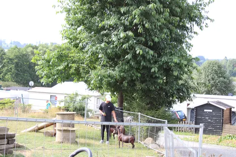 Camping Oos Heem foto 16