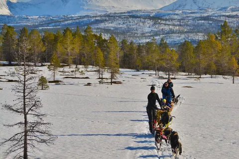 5-daags Winteravontuur Malangen foto 15