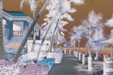 Hotel Harbour Village Beach Club in Kralendijk — foto 6
