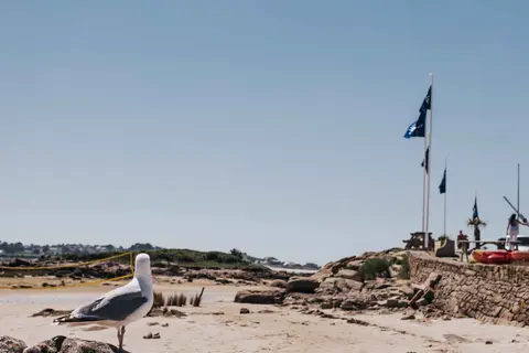 Liberté Landrellec in Pleumeur-Bodou — foto 3