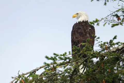 Unlimited Adventures foto 3