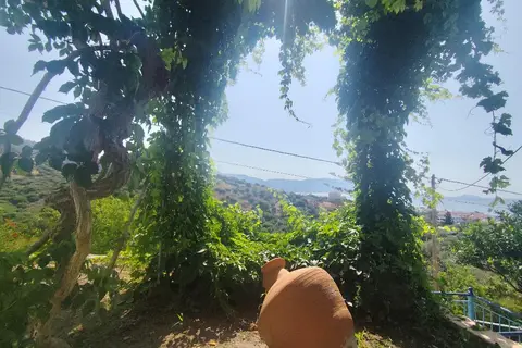 Villa Jota in Δημοτική Ενότητα Μαραθοκάμπου — foto 6