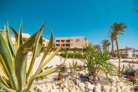 The Breakers Diving & Surfing Lodge in سفاجا — foto 27