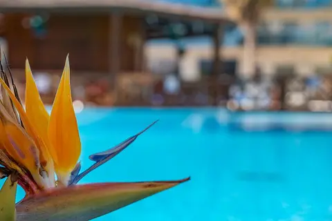 Golden Taurus Aquapark Resort in Pineda de Mar — foto 11