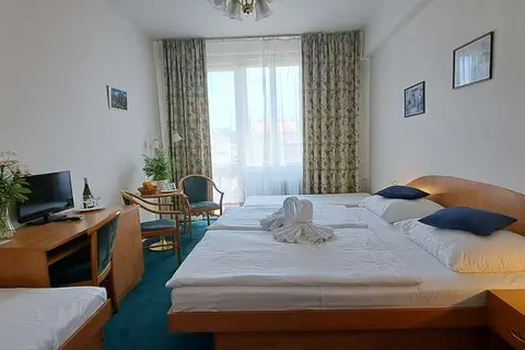 Hotel Legie in Praag