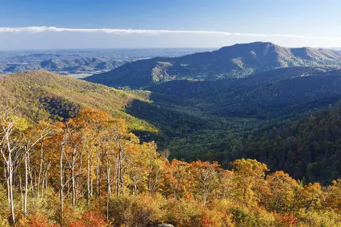 A Trip Down the East Coast foto 3