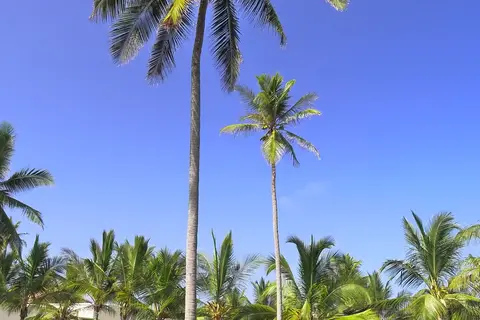 Baraza Resort & Spa in Bwejuu — foto 13