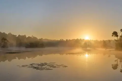 Hotel de Naaldhof foto 33
